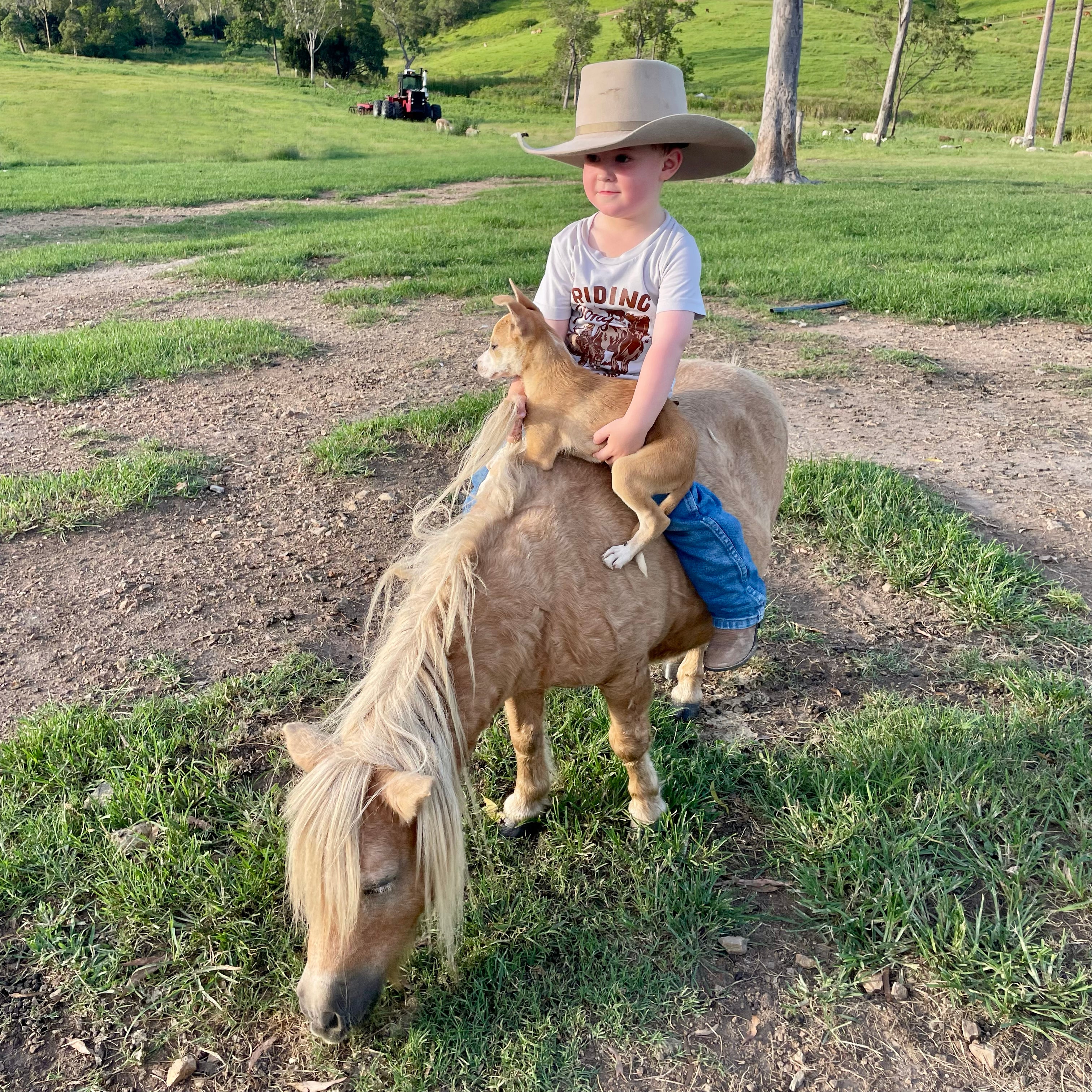 Riding My Pony Cream Kids Tee